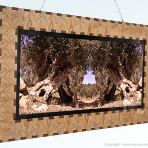 Ambienti Design - AA01 - 81 cm X 150 cm