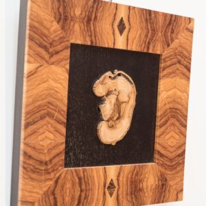 Arredo Design - Piccolo - DP09 - 35,5 cm X 35,5 cm