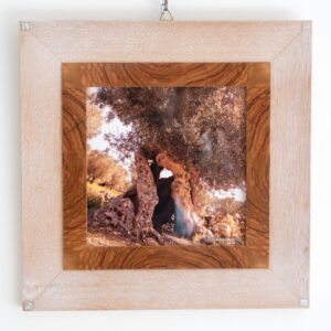 Arredo Design - Piccolo - DP12 - 40,5 cm X 40,5 cm