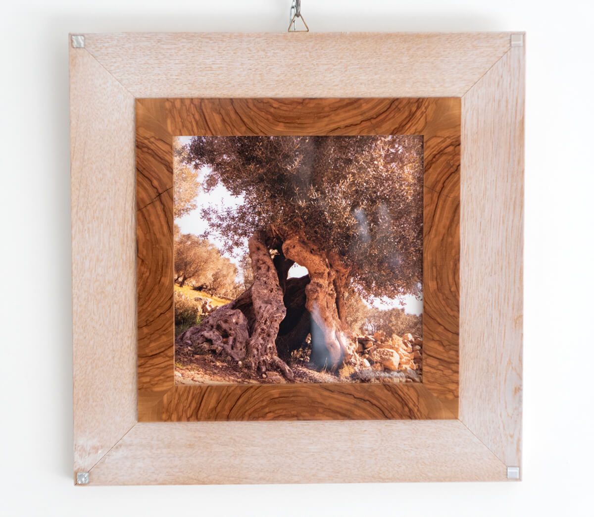 Arredo Design - Piccolo - DP12 - 40,5 cm X 40,5 cm